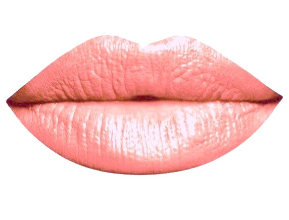 Organic Natural Lipstick Pot LP2 - 107 - Puristic Makeup