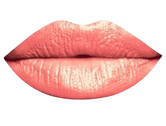 Organic Natural Lipstick LP2 - 200 - Puristic Makeup