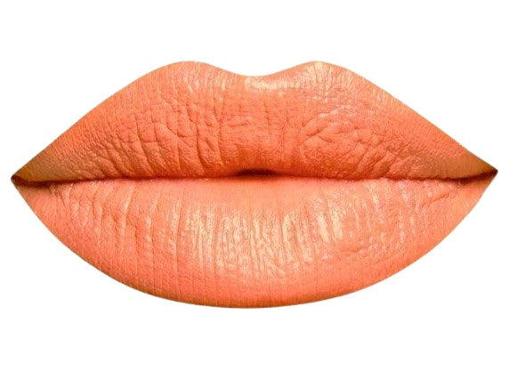 Organic Natural Lipstick Pot LP2 - 202 - Puristic Makeup