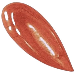 Natural Organic Lipgloss LG2 - 210 - Puristic Makeup