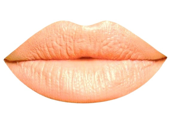 Organic Natural Lipstick LP2 - 100